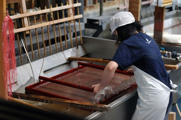 Awa traditional Japanese paper - General Production Process