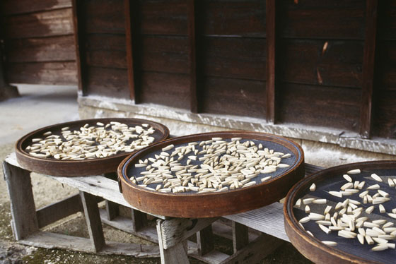 Kumano brushes - General Production Process